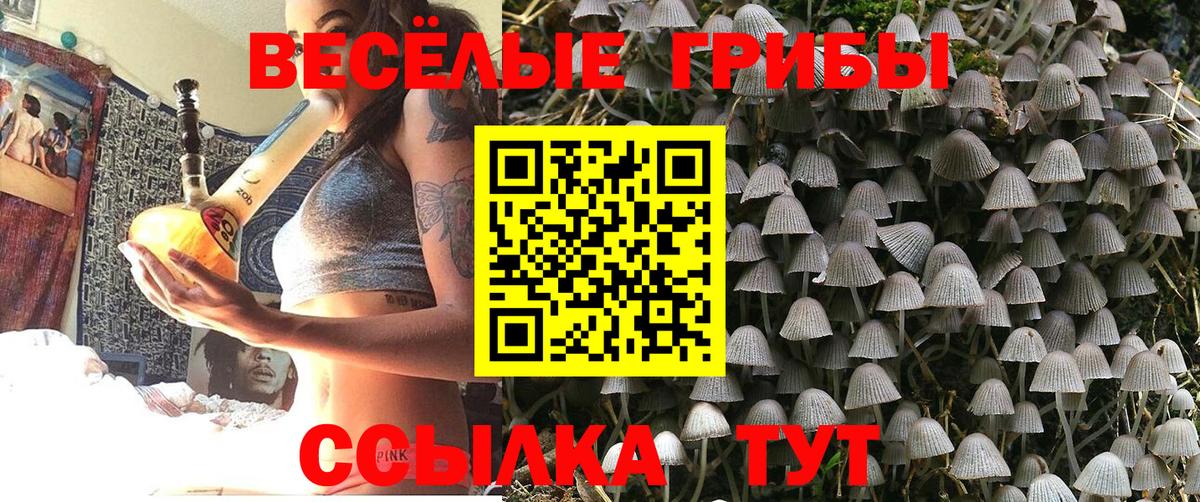 Галлюциногенные грибы GOLDEN TEACHER  Вход с VPN  Нижневартовск 